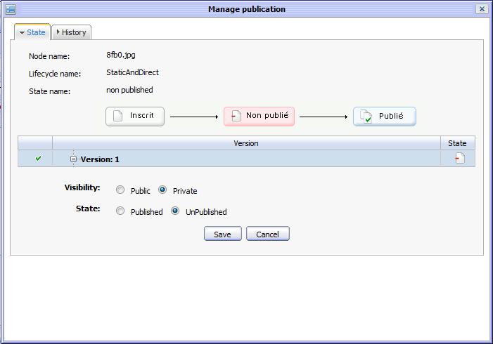 Example of publication UI in ECM