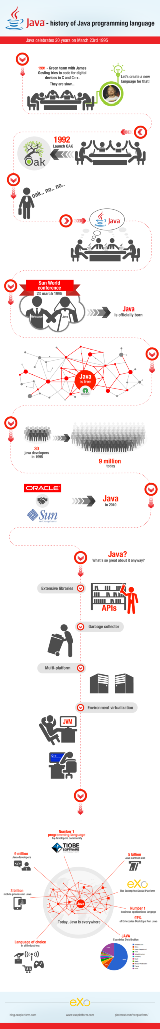 Infographic: History of Java programming language. 20th years!