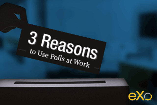3-Reasons-Why-You-Should-Use-Polls-at-Work - eXo Platform
