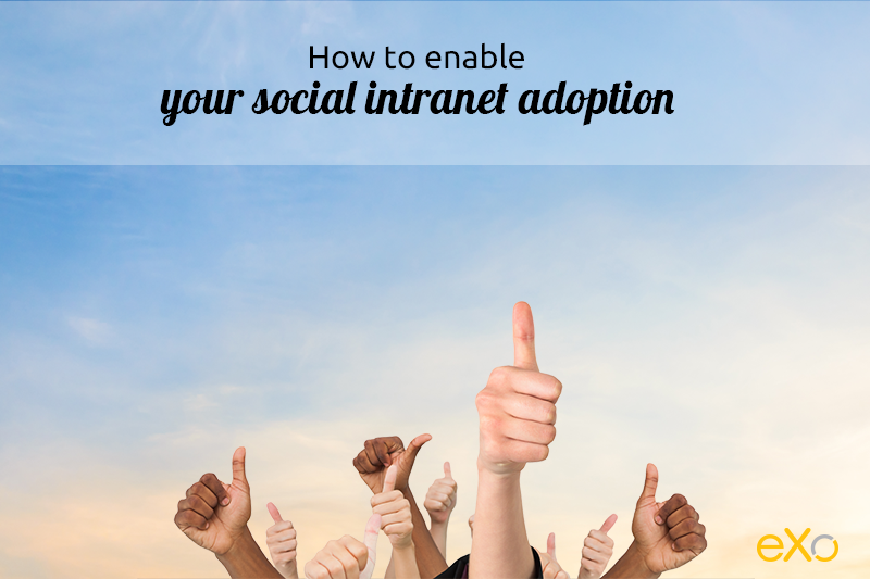 social intranet launch