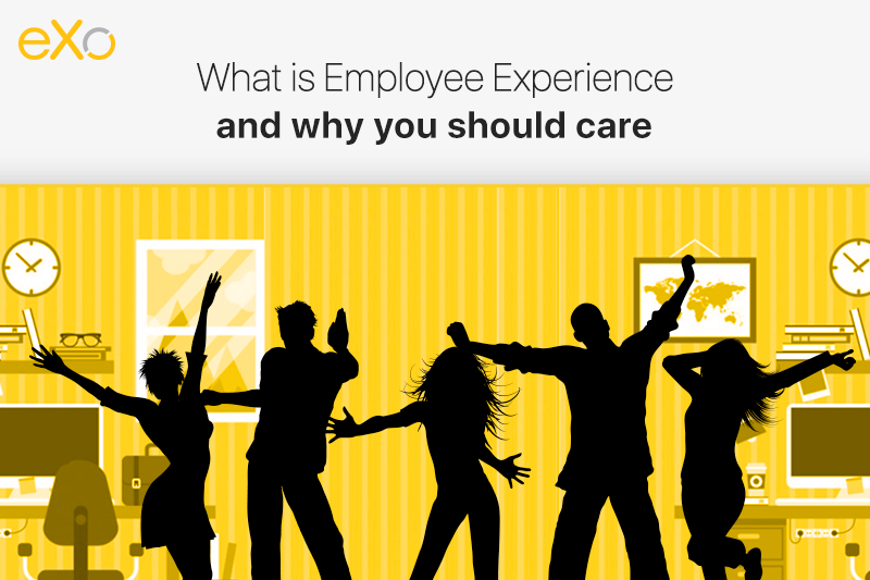 What is employee experience