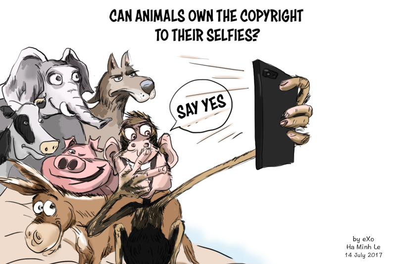 Cartoon of the week: Photographer sued by a monkey over a selfie Cartoon of the week: Photographer sued by a monkey over a selfie