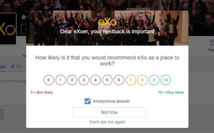 eXoer Platform : Employees Feedback