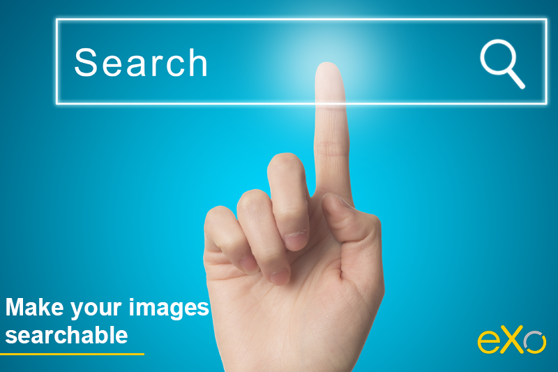 search images