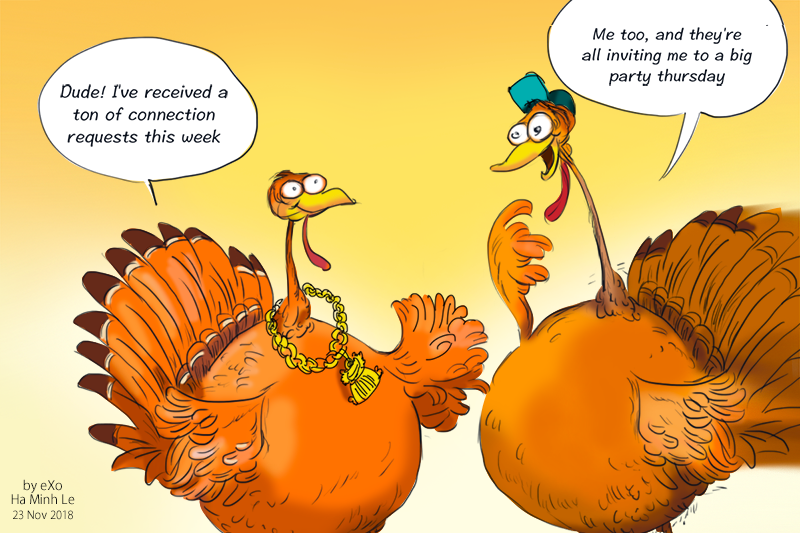 Thanksgiving 2024 deals kohls