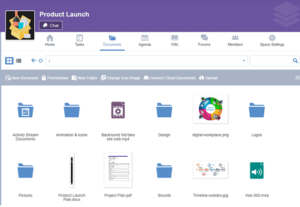 Document Management Software