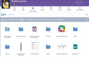 Document Management Software