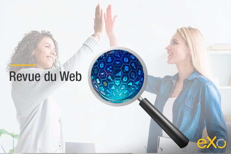 expérience collaborateur