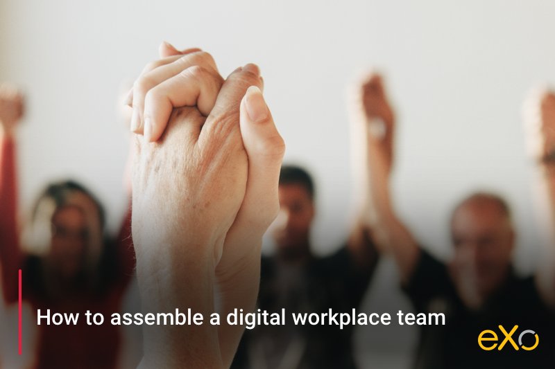 digital workplace team