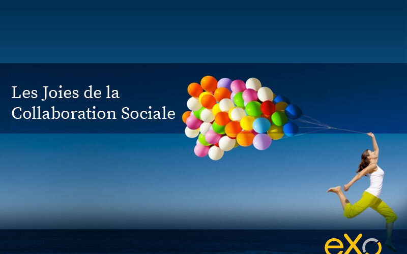 Les-joies-de-la-collaboration-sociale