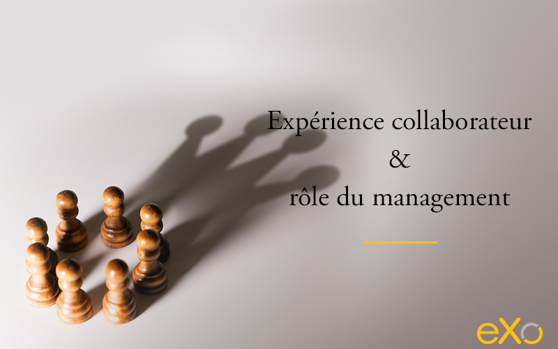 expérience collaborateur, rôle du management