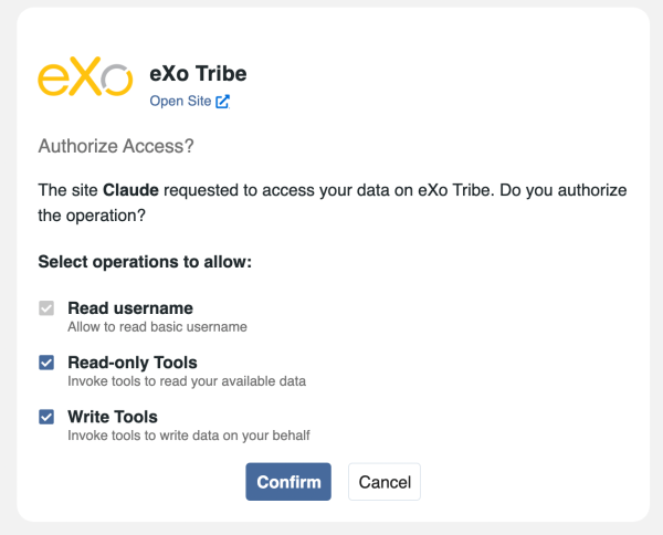 User Consent and Access Scope