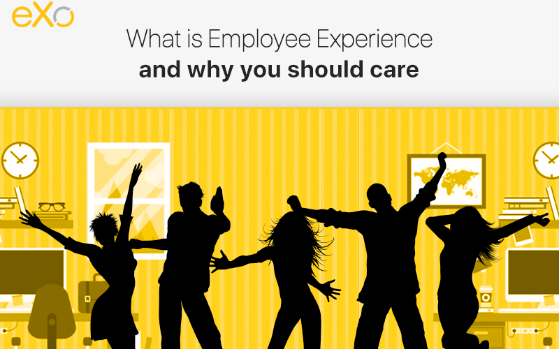 What is employee experience