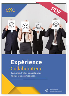 expérience collaborateur